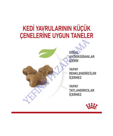 Royal Canin Mini Starter Small Breed Puppy and Mother Dog Food 3 Kg