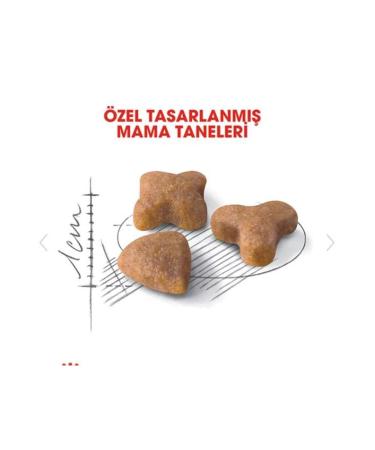 Royal Canin Sensible 33 Sensitive Digestive System Support Cat Food 4kg - Buy Online on GoSupps.com