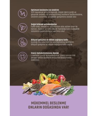 SO LA OLIVE Edremit Stone Crushed Green Olives 1000gr