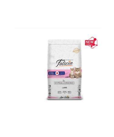 TANBAL Wax-free Sugar-free All Bee Made Basket Honey 2kg -2.4kg - Buy Online on GoSupps.com