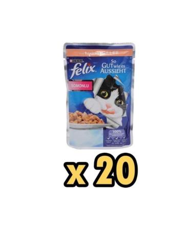 Tetra Phyll Flakes 500 GR
