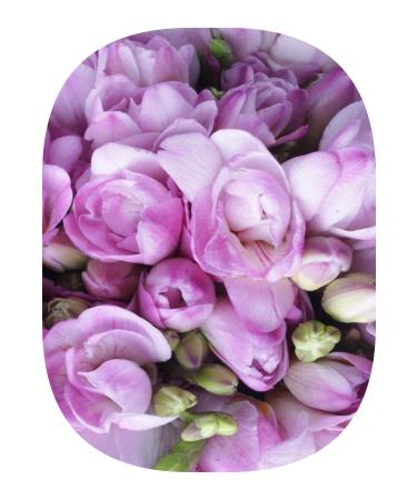 Alpella 3Gen Wafer White 28 G