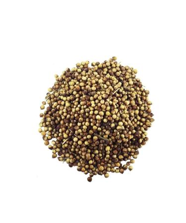 DOCTOR MEDICINE Argivit Classic Syrup 150ml