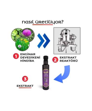 Artichoke Thistle and Chicory Extract 250 ml Natural from Nature - Buy Online on GoSupps.com