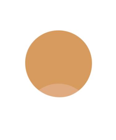 ROSEVELT Permanent Makeup Dye 203 Blonde Permanent Makeup Eyebrow Dye