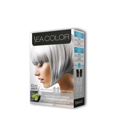 Skygo 2 Tube Cream Hair Dye Set Silver Grey No:0.02