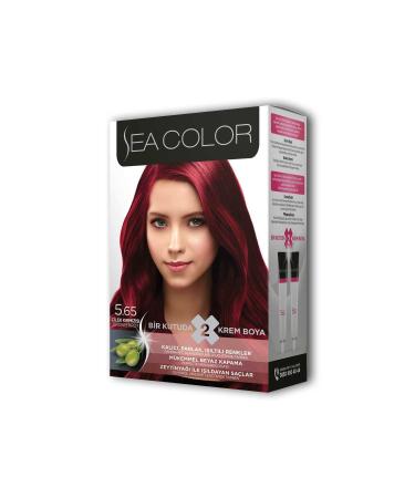 Lyrae Store 2 Tube Cream Hair Dye Set Strawberry Red No: 5.65 - ALP4644-8107