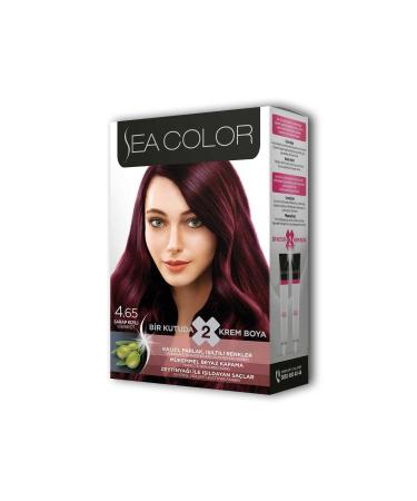 CEXOS 2 Tube Cream Hair Dye Set Wine Red No: 4.65 - CBT1406-3412