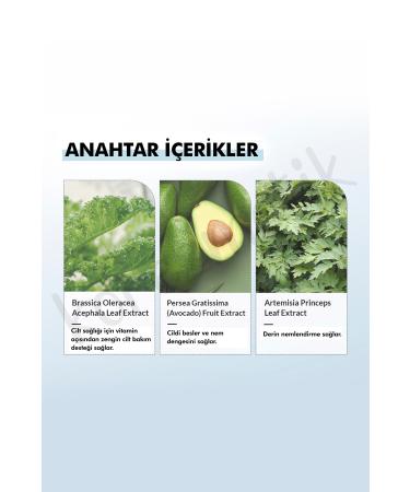 Dr. Althea 147 Barrier Cream - Ceramide Containing Barrier Protective Repairing and Moisturizing Cream - 50ml - Buy Online on GoSupps.com