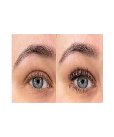 Max Factor Black Mascara Divine Lashes Mascara 001 Rich Black - Buy Online on GoSupps.com