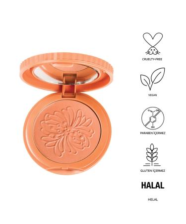 Pastel Spring Blush-on 15 Blush - Buy Online on GoSupps.com