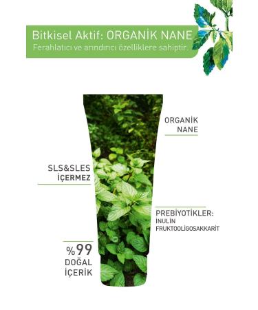 Yves Rocher Pure Menthe Prebiotic Facial Peeling for Combination and Oily Skin - 75 ml - Buy Online on GoSupps.com