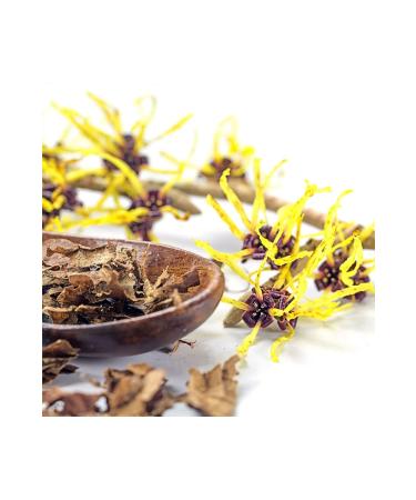 Dickinsons Witch Hazel Pore Cleansing Toner 473 ml 010331000167 - Buy Online on GoSupps.com