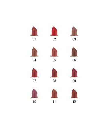 DiVio Lipsticks Kiss Prood ( 24 Hour Lasting Lipstick ) 12 - Buy Online on GoSupps.com