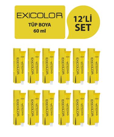 Exicolor Ex color 12.01 Intense Ash Super Lightening Hair Dye 60ml (Set of 12)