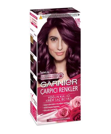 Garnier Striking Colors 3.16 Intense Ash Red