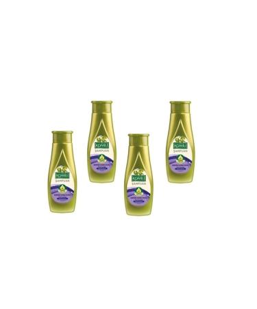 Komili 4 Pieces Anti-Dandruff Effective Olive Oil Shampoo Cream Model 500 ml