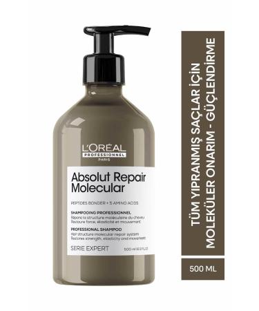 L'oreal Professionnel Serie Expert Absolut Repair Purifying Shampoo for All Damaged Hair 500 ml