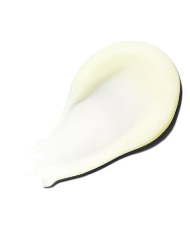 Paul Mitchell Travel Size Original The Detangler 3.4 oz - Discover Premium Quality Shop now! - Buy Online on GoSupps.com