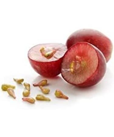 Origine Grape Seed Oil 250 ml 100% Natural Glass Bottle for Hair and Skin French Brand Hair Body - Buy Online on GoSupps.com