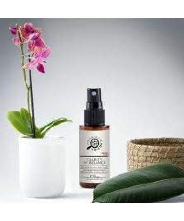 Probiotic Skin Care Kit: Natural Soap & Pure Probiotic Spray for Acne & Eczema Relief - Buy Online on GoSupps.com