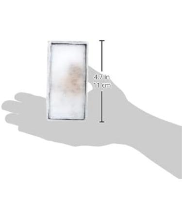 Fluval Clearmax Filter Insert - Premium Resin for Phosphate Nitrite & Nitrate Removal - Compatible with Fluval U2 Internal Filter - 2 Pack - Buy Online on GoSupps.com