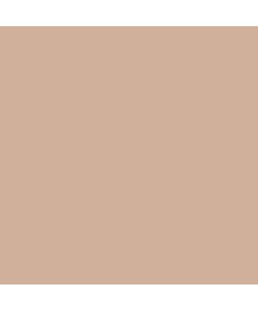 L'Oreal Paris True Match Alliance Perfect Corrector - Tinge 4 Beige (5 ml) | Shop Now for Flawless Skin - Buy Online on GoSupps.com