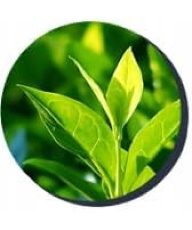 Vitalinv Limited Nicorix Cigarette Rehabilitation Therapy pack of 3 no cigarettes for your body - Buy Online on GoSupps.com