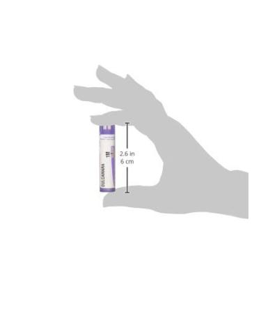 Boiron Dulcamara 1M - 80 Pellets for Joint Pain Relief | Best Homeopathic Remedy for Dampness - Buy Online on GoSupps.com