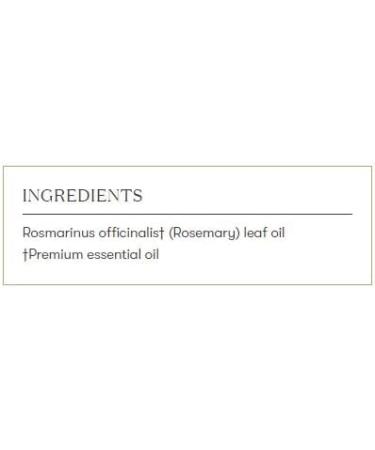 Young Living Rosemary Essential Oil - 100% Pure Aromatherapy for Focus & Clarity | Invigorating Herbal Aroma - 15ml International Shipping - Buy Online on GoSupps.com