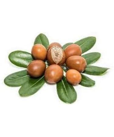 LaProve Shea butter from Africa 100 natural - Buy Online on GoSupps.com