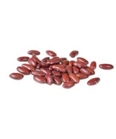 Bush Bean Red Kidney Bean Seeds