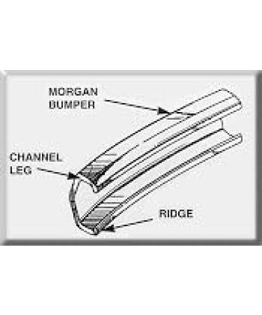Morgan Bumper Braces Cover Lip Protector - Set of 2, Clear - Buy Online on GoSupps.com