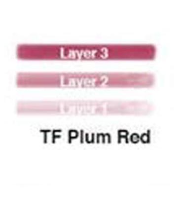 Plum Red Lip Ink Liquid Lip Color | Natural & Organic Makeup - 100% Organic, Kosher & Vegan - Buy Online on GoSupps.com