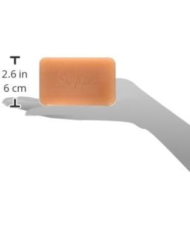 Shea Moisture Red Bush & Sage Shea Butter Soap8 oz - Buy Online on GoSupps.com