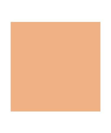 MAC Pro Longwear Nourishing Waterproof Foundation NW20 Rosy Peach 25ml - Long Lasting Formula | 0.84oz - Pack of 1 - Buy Online on GoSupps.com