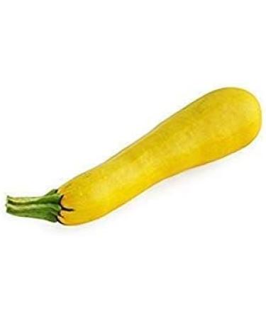 5.6g Organic Golden Zucchini Seeds 40ct Yellow Bush Summer Squash - Buy Online on GoSupps.com