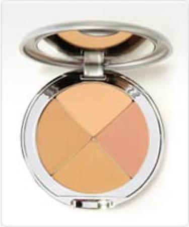 Christina Cosmetics Perfect Pigment 3 Compact: One Minute Miracle Makeup - Buy Online on GoSupps.com