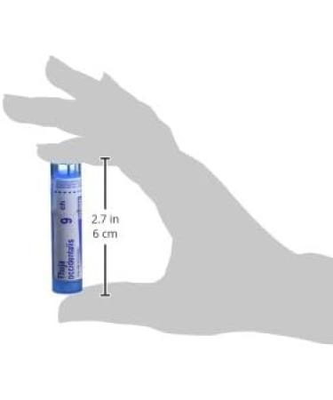 Thuja Occidentalis 9ch Boiron Homeopathic Medicine - Buy Online on GoSupps.com