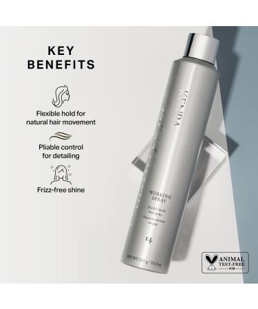 Kenra Professional Platinum Working Spray 14 10.0 oz - Transform Your Style with the Best Innovation Today! - Buy Online on GoSupps.com