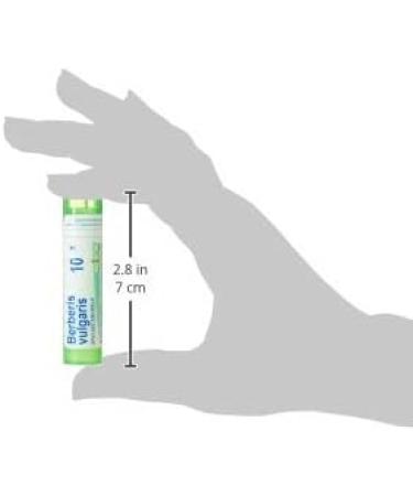 Boiron Berberis Vulgaris 10X MD - 80 Pellets for Skin Rashes Round Red Patches & Flaky Skin - Buy Internationally - Buy Online on GoSupps.com