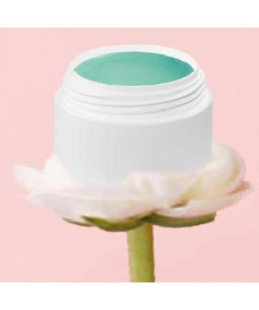 EuBeCos Flowery Pastel Gel Set - 5 x 5ml Studio Quality Self-Smoothing Made in Germany | International Shipping - Buy Online on GoSupps.com