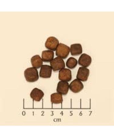 Wolfsblut Cold River Adult 12.5 kg - Buy Online on GoSupps.com