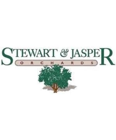 Clevera Supreme Almonds Jumbo (20-22) - Fresh - Raw -Kosher - HACCP - Small Batch - Sustainably Sourced - Straight from The Farm - Non-GMO - Gluten free (1-lb) 453.6 g (Pack of 1) - Buy Online on GoSupps.com