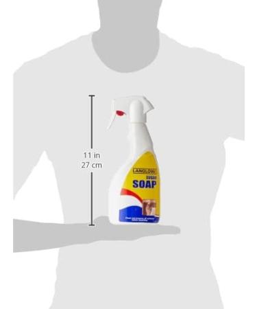 Palace 643301 Langlow Sugar Soap Liquid Spray 500 ml - Buy Online on GoSupps.com
