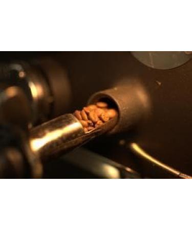 Coffee Roast Level Dark Old Brown Java Coffee Beans One 1kg bag of Coffee Beans - Buy Online on GoSupps.com