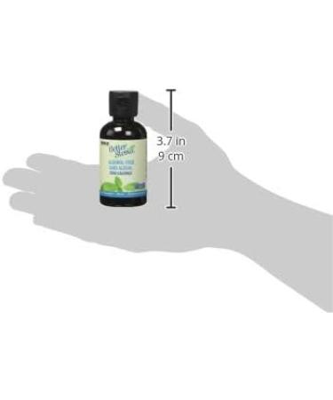Now Foods Stevia Glycerite Alcohol-Free Liquid 60 ml - Buy Online on GoSupps.com