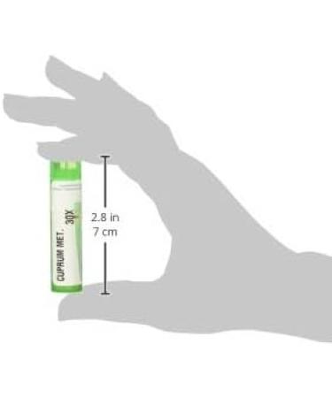 Buy Boiron Cuprum Metallicum 30X - 80 Pellets for Sudden Muscle Cramps | Fast International Shipping - Buy Online on GoSupps.com