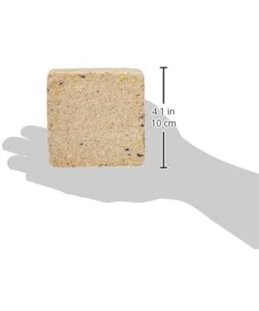Garden Ting Peanut Suet Block Wild Bird Treat 6 x 300g Peanut 300 g (Pack of 6) - Buy Online on GoSupps.com