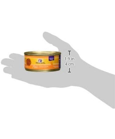Wellpet Wellness Super5Mix Chicken Canned Cat Food - Nutrient-Rich 1 Count - Buy Online on GoSupps.com